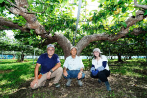 荒井果樹園 埼玉県鴻巣市常光　梨・ぶどうを生産している果樹園です